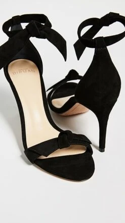 Alexandre Birman Clarita 75 10 Alexandre Birman Clarita 75 -Sam Edelman Shop albir300721071c q5 2 0. UX357 QL90