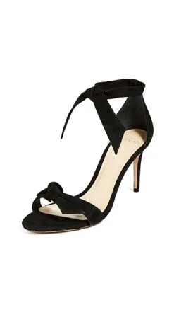 Alexandre Birman Clarita 75 11 Alexandre Birman Clarita 75 -Sam Edelman Shop albir300721071c q6 2 0. UX357 QL90
